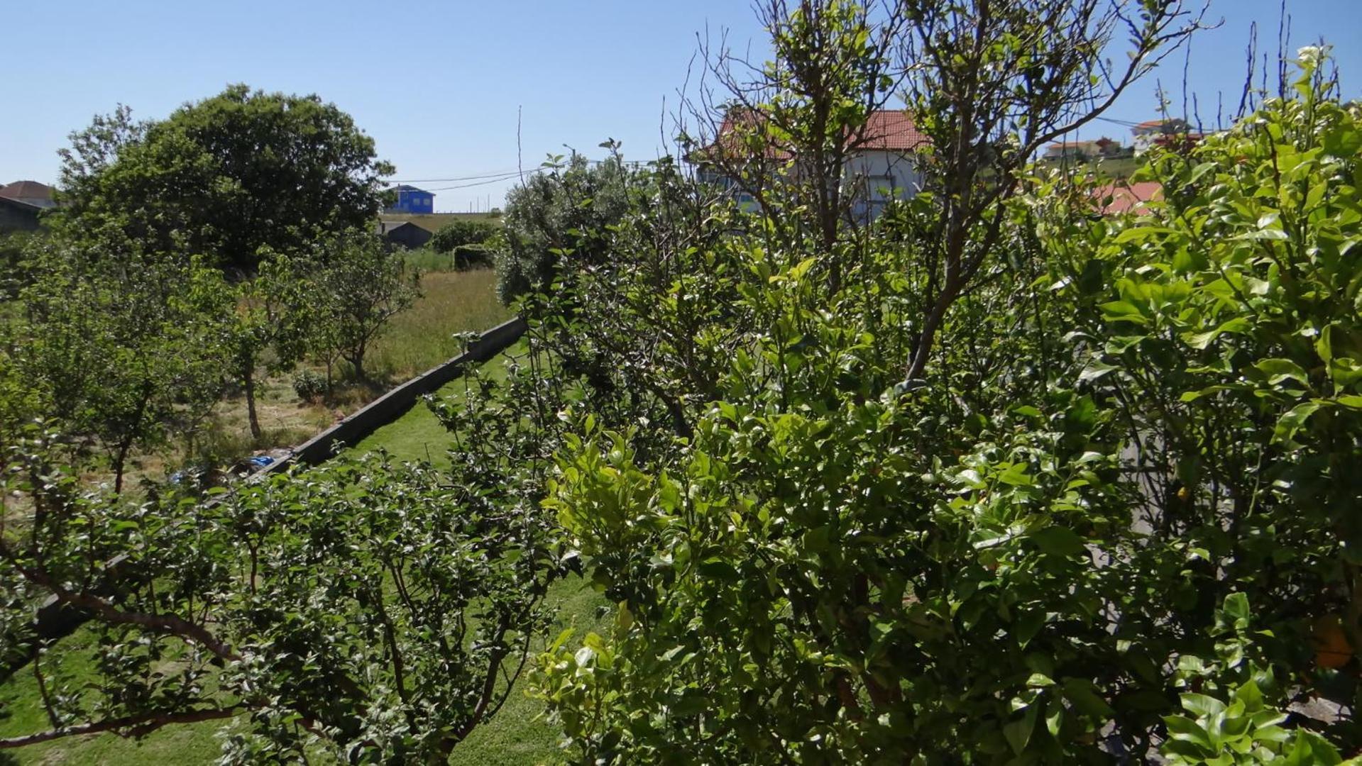 Casa De Lolo En Larino Vila San Mamede de San Mamede de Carnota Exterior foto